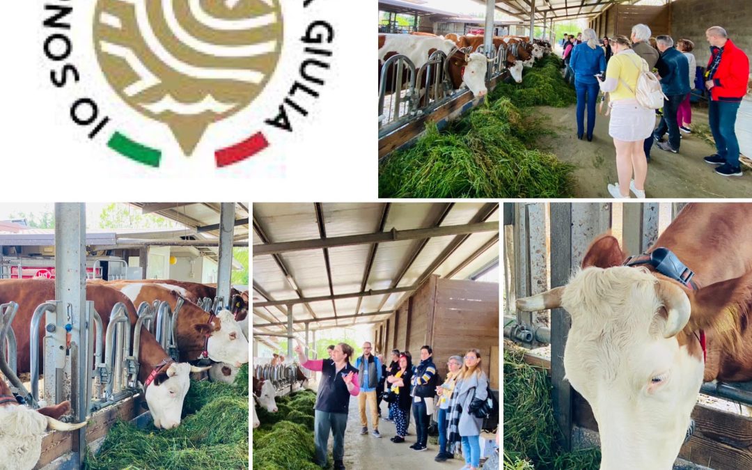 La delegazione della Scuola Battista di Nyitott Ajtó visita la Fattoria ZOFF